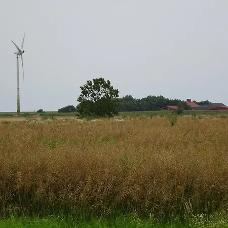 Komfortable Doppelhaushaelfte Und Grossem Garten Ferienhaus Dornum